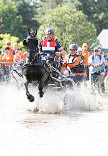 Pferdekutsche durchquert bei einem Fahrsport-Turnier eine Wasserdurchfahrt vor Publikum